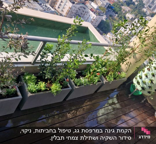 עציצים עם צמחים על מרפסת עם נוף עירוני